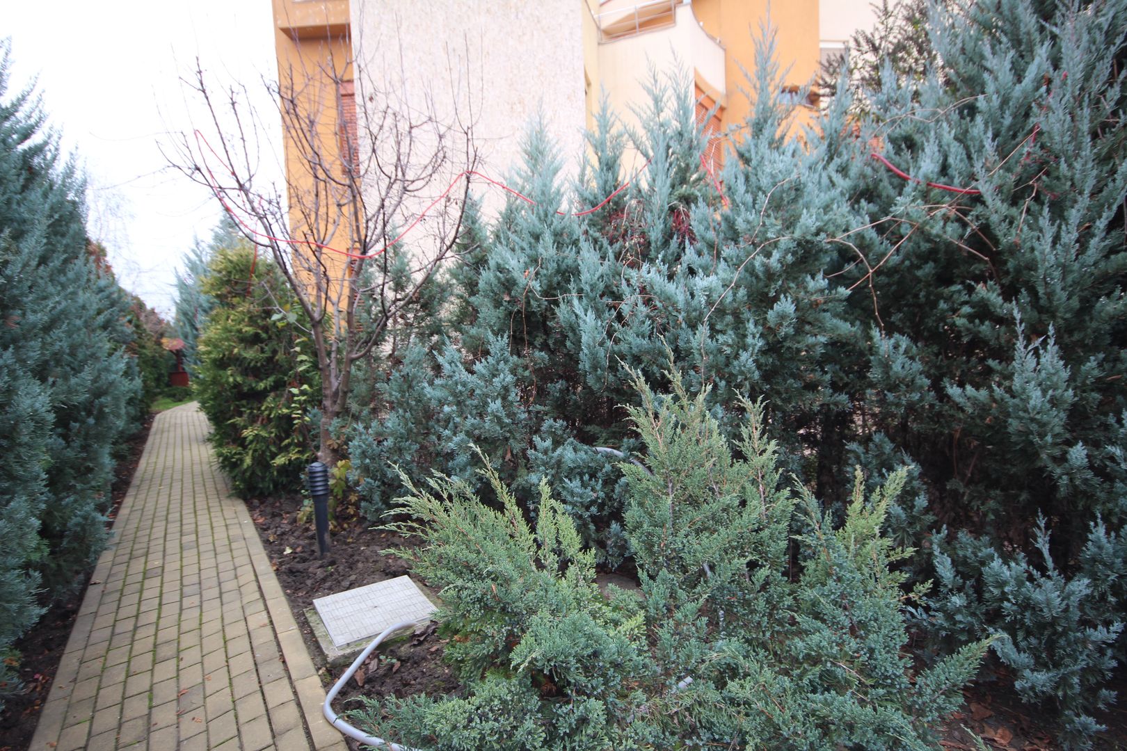 Casa pretabila birouri, camin de batrani - Poză 137