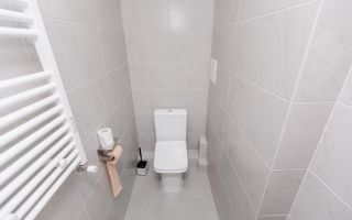 Chirie, apartament, 2 camere, bd. Renașterii Naționale, Râșcani - Poză 8