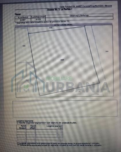 Teren intravilan 4000 mp, Visani, strada Sfântul Ilie – oportunitate de investiții - Poză 2