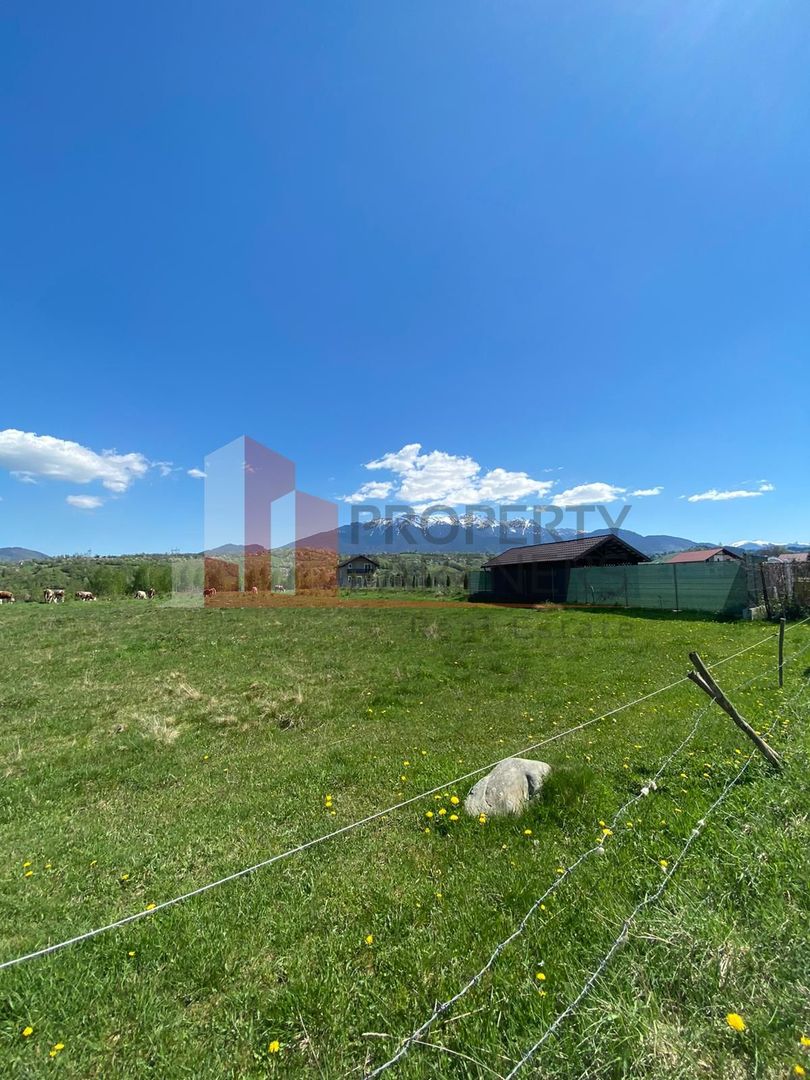 Teren Bran/ Predelut 10.663 mp. - Poză 5