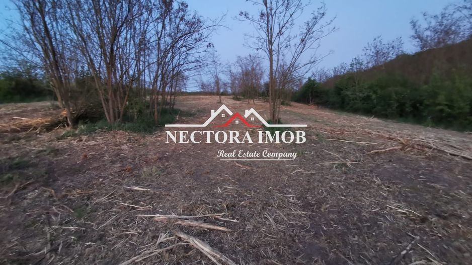 NECTORA IMOB-Loturi de teren 500 mp,Zona Saldabagiu de Munte-Lac Paleu - Poză 1