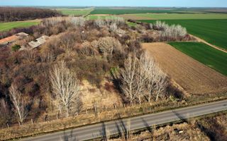 Ferma si livada de meri in judetul Ilfov - Poză 22