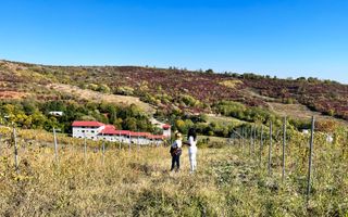 14Ha podgorie, livada pomi fructiferi, si conac 3000mp - Poză 12
