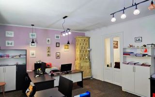 Spatiu birouri Dragalina Ulmului 100mp stradal cu intrare separata - Poză 8