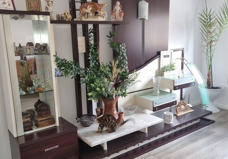 Casă +axexa+teren generos, zona 14 Mai - Poză 4