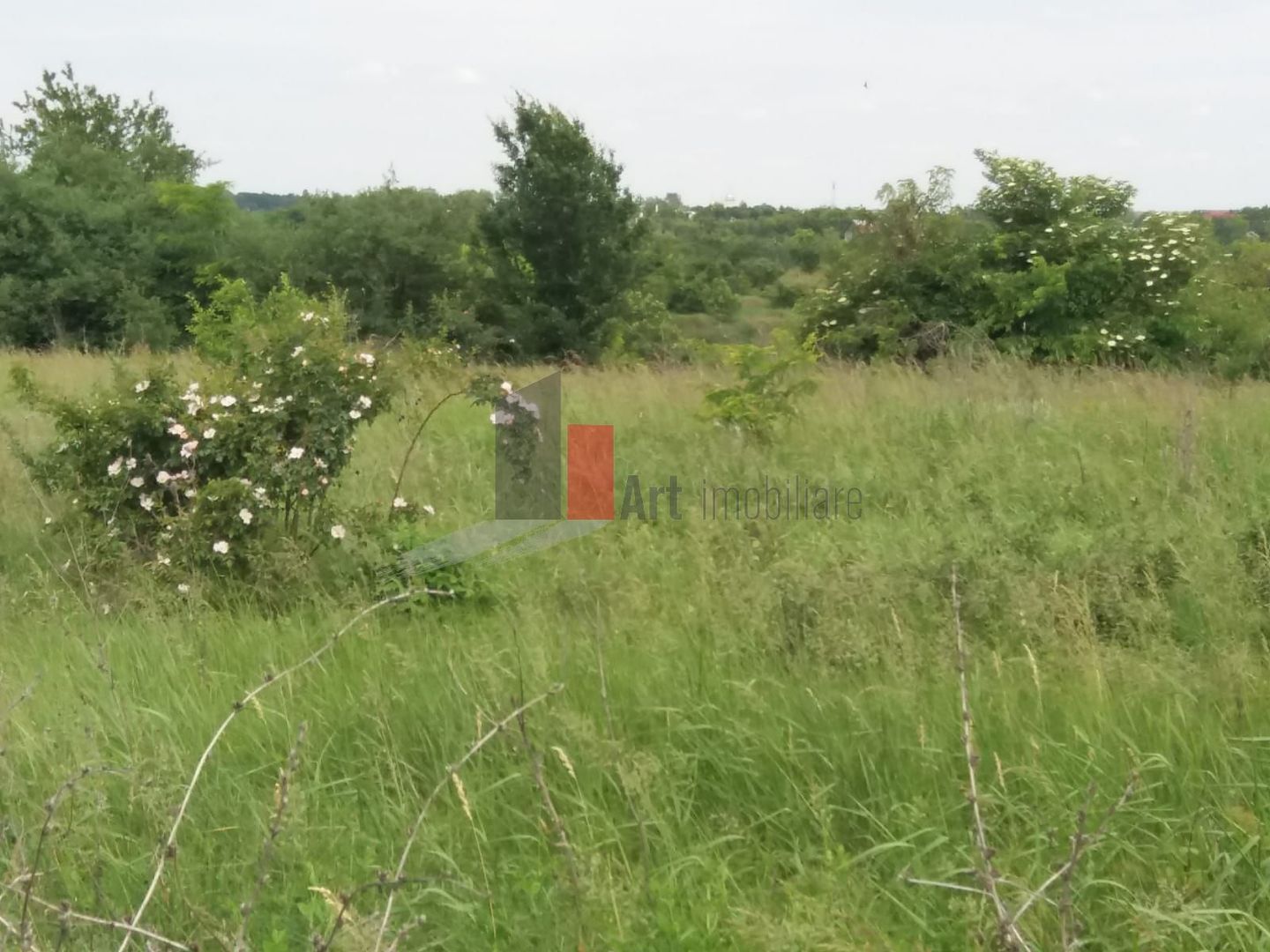 Teren Buftea cu iesire la lac - Poză 22