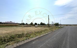 Teren intravilan 1450 mp 397 DN1F - Loc. Ghenci - Jud. Satu Mare - Poză 4
