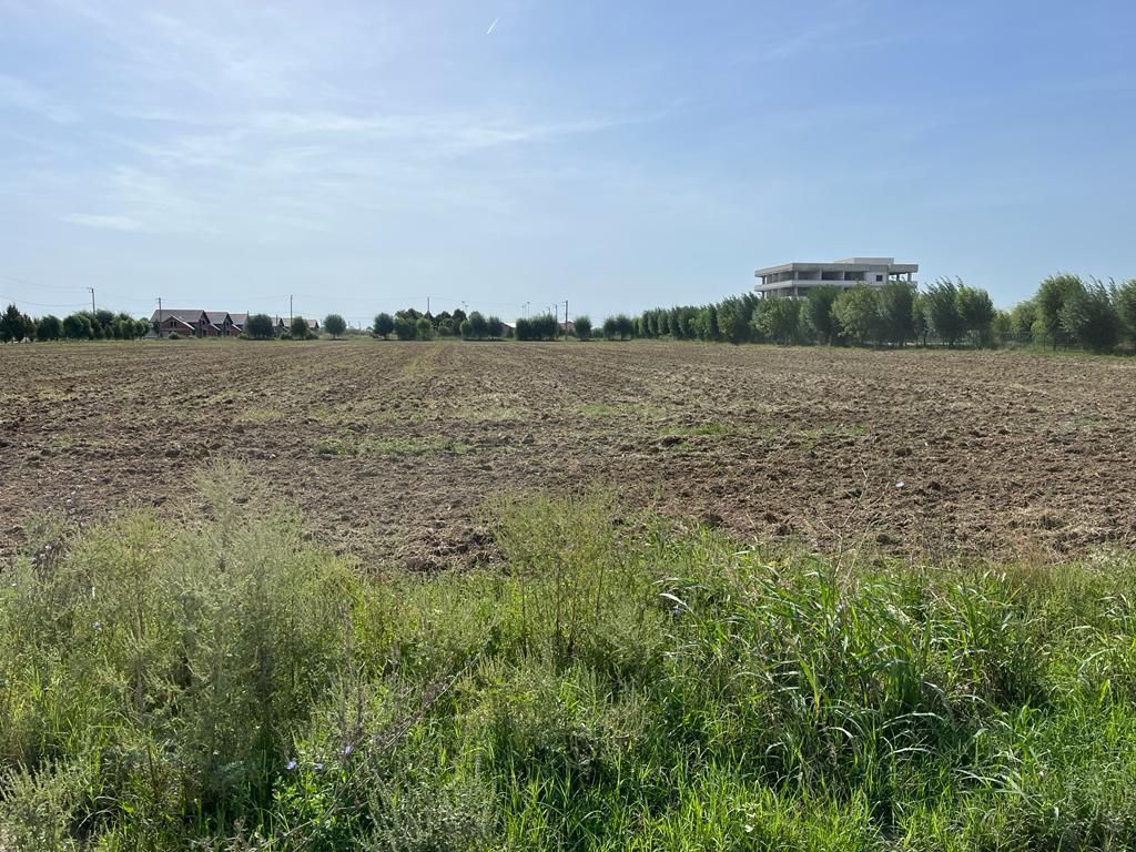 Teren Investitie - Pretabil Industrial, Logistica - Poză 2