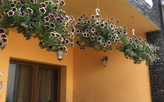 Casă / Vilă cu 6 camere + Casa/Vila cu 2 camere | zona Terezian - Poză 30