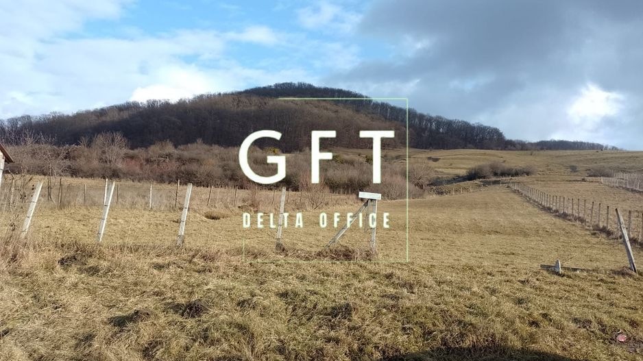 Teren la drum 2000 mp-pretabil investitie-Saratel - Poză 1