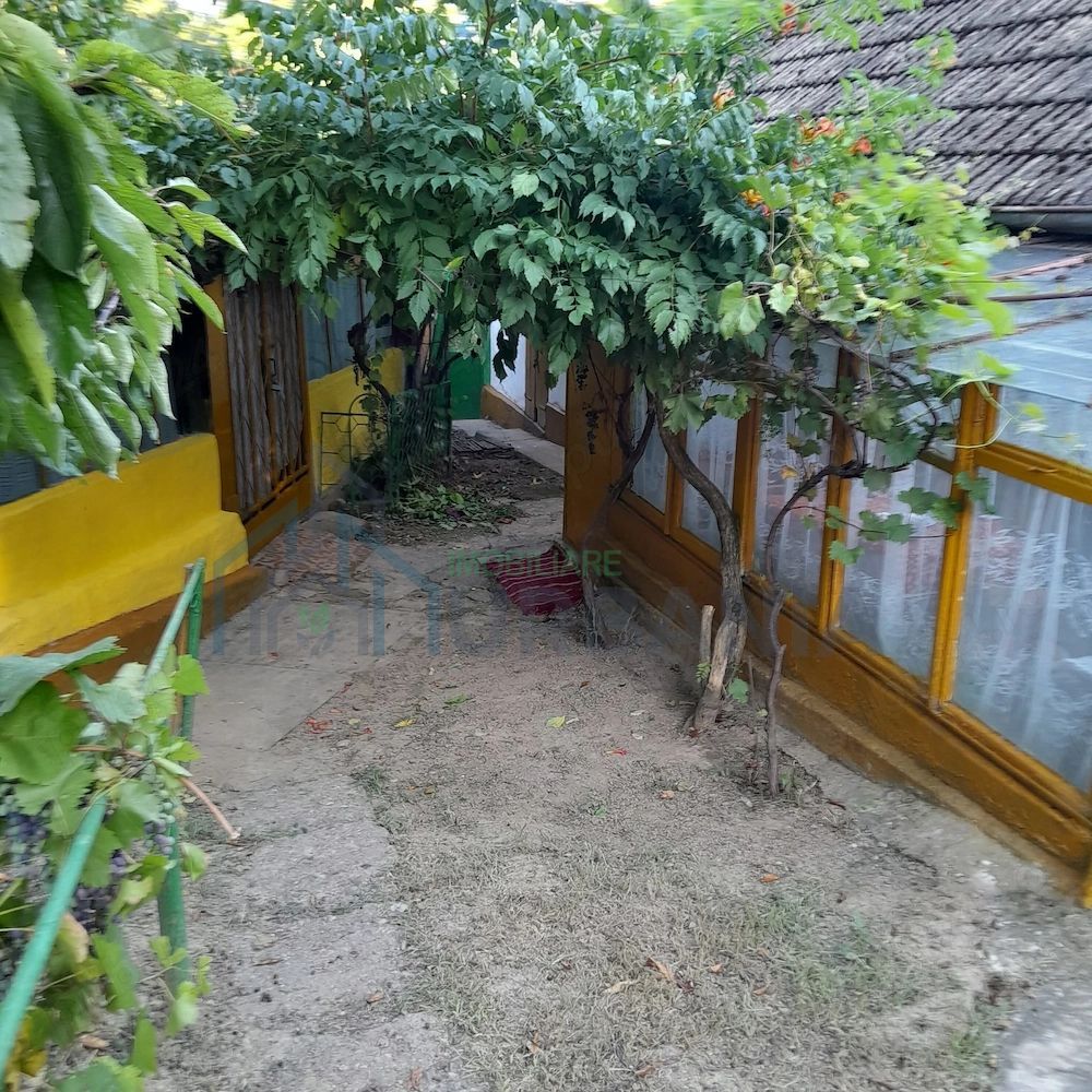 Gospodărie țărănească de vânzare cu 2 case și teren 6.700 mp, Cozia, jud. Iași - Poză 3