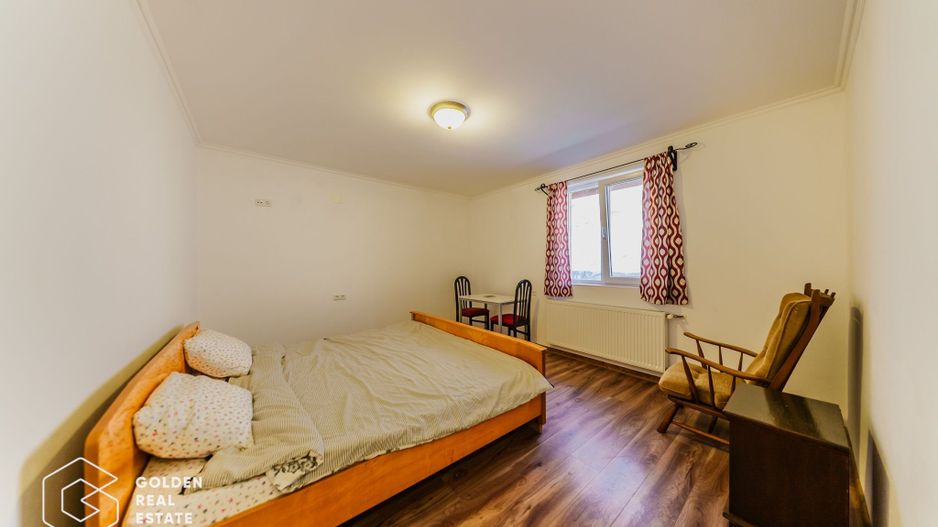 Proprietate pretabila pentru afacere, Cladova - Poză 10