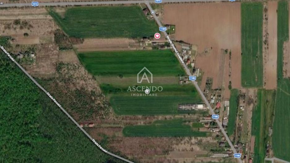 Teren intravilan 704 mp – Siliștea Snagovului | Lângă Pădurea Snagov - Poză 1