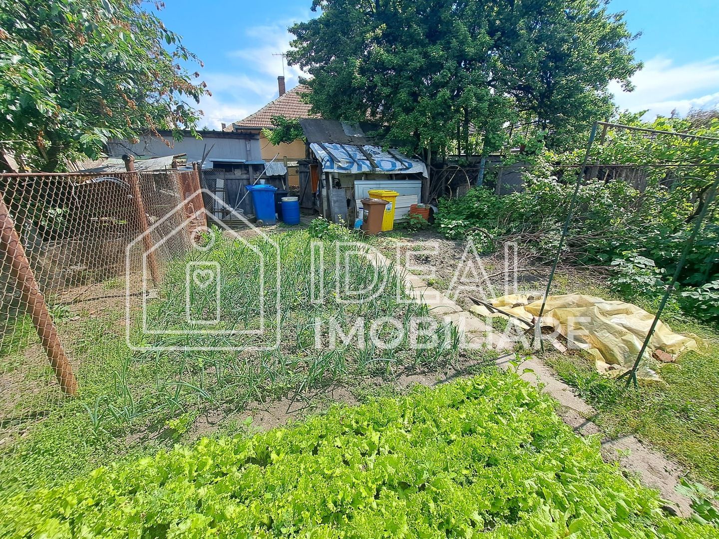 Casa pe un singur nivel cu 342 mp curte, in zona Promenada Mall - Poză 2