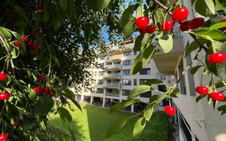 Garsoniera Copou Parcul Expozitiei Exclusive Residence - Poză 23