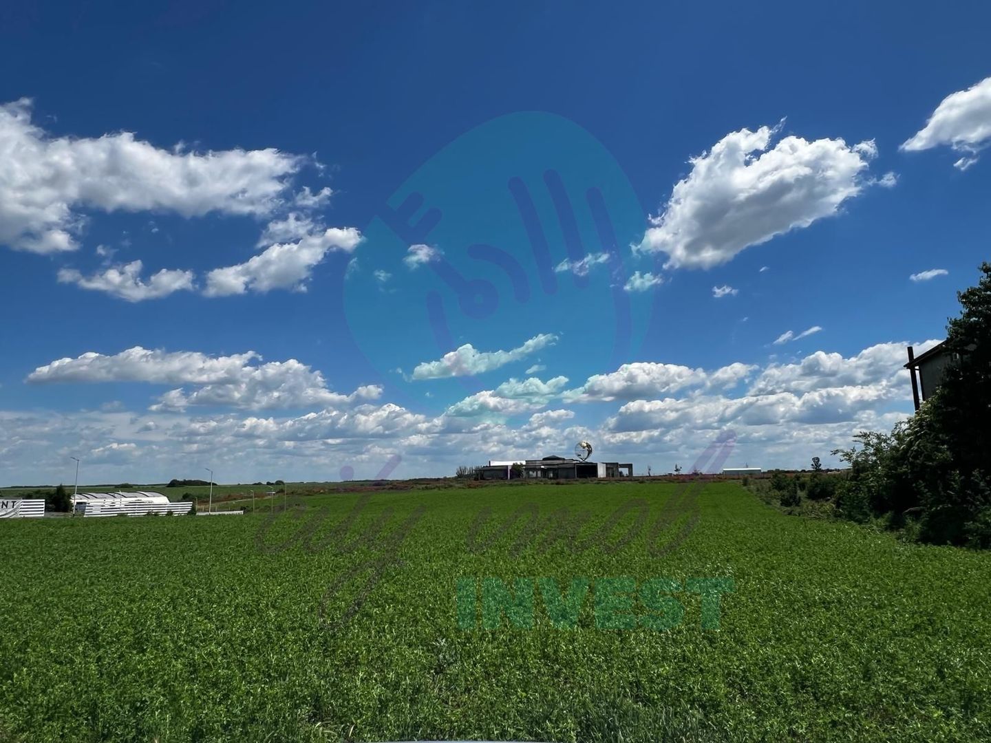 Teren intravilan 1.000 mp | Lângă Balta Pasărea | 20 de min de București - Poză 5