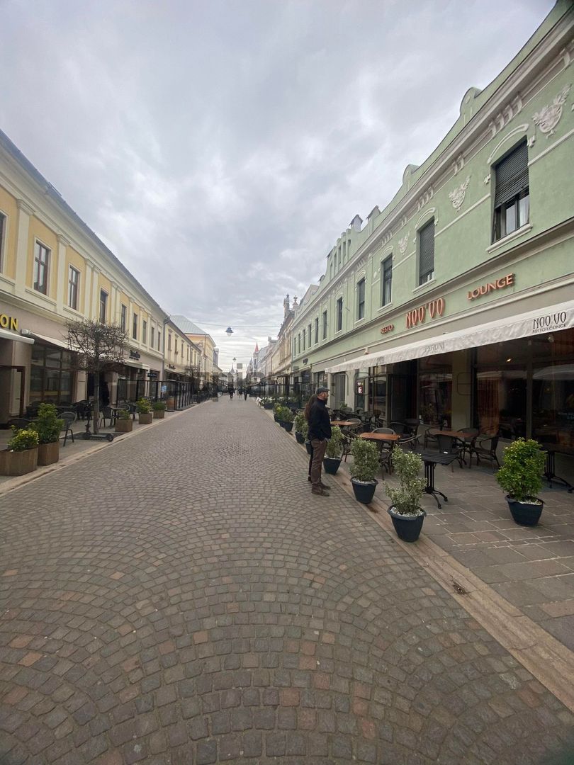 Spatiu comercial ultracentral, Vasile Alecsandri - Poză 4