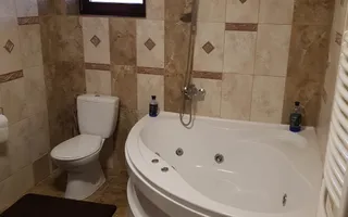 Vila Milostea cu 3070 mp teren și vedere spre Vârful Rânca - Poză 29