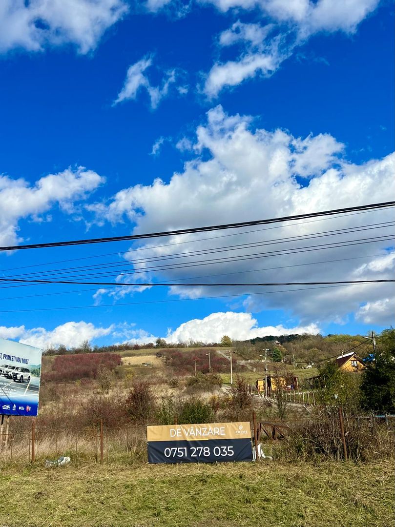 Teren cu potențial multiplu de dezvoltare – Corunca, E60, 10.000 mp - Poză 2