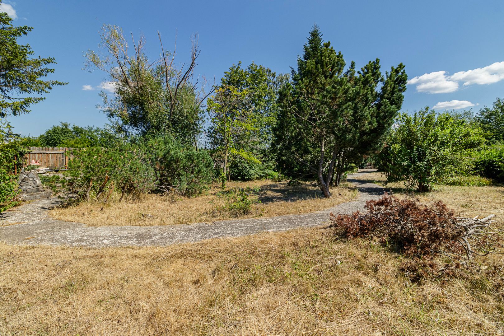 Domeniu privat 5.000 mp, cu reședință de 625 mp și piscină, Corbeanca - Poză 41
