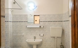 Lunei - Ion Neculce, 2 Apartamente. Mansarda 157 mp. Anexe, Lot 475 mp - Poză 7