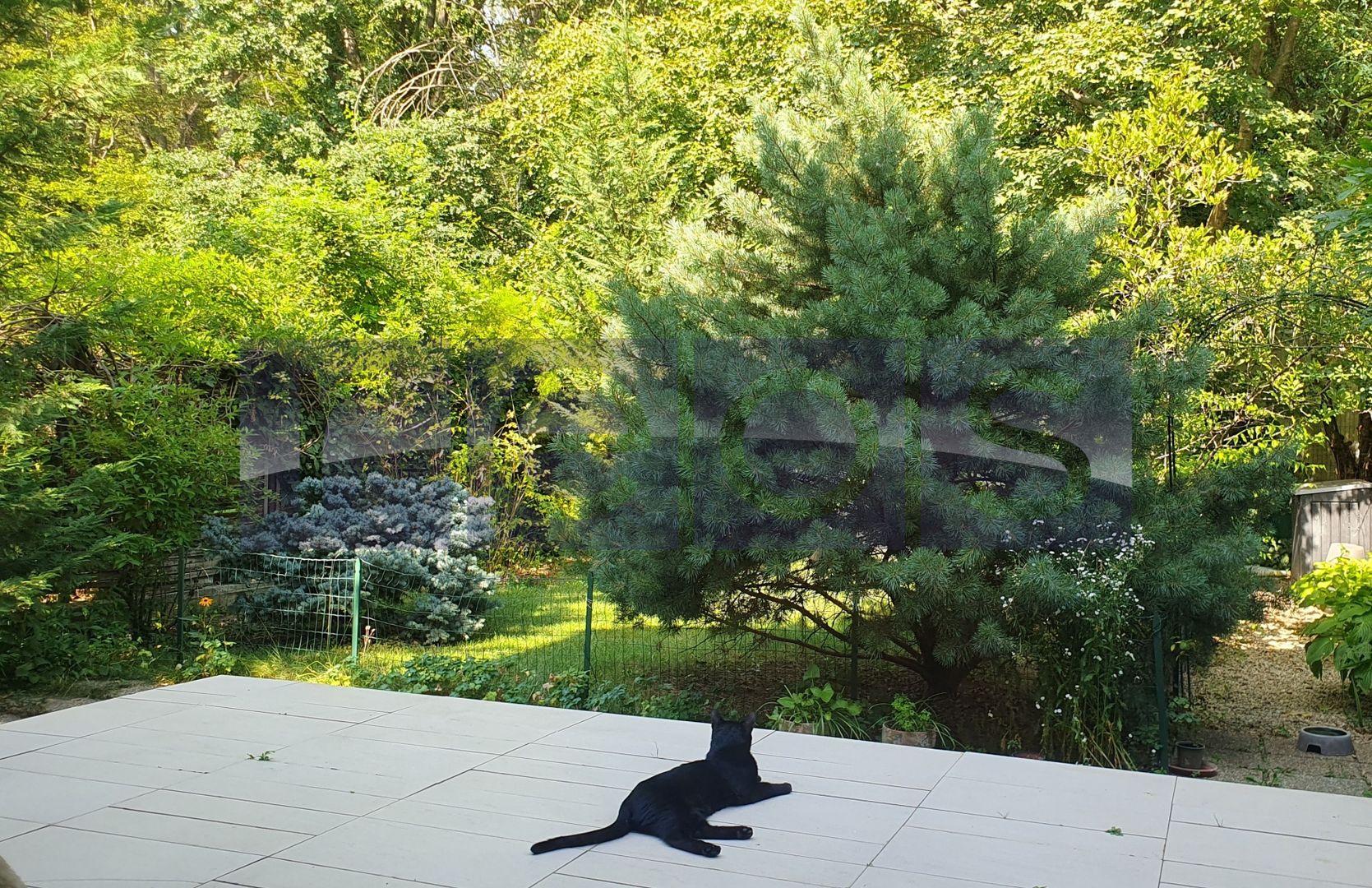 VANZARE VILA | PADUREA BANEASA | 158MP | 5 CAMERE | CURTE-LOC PARCARE - Poză 3