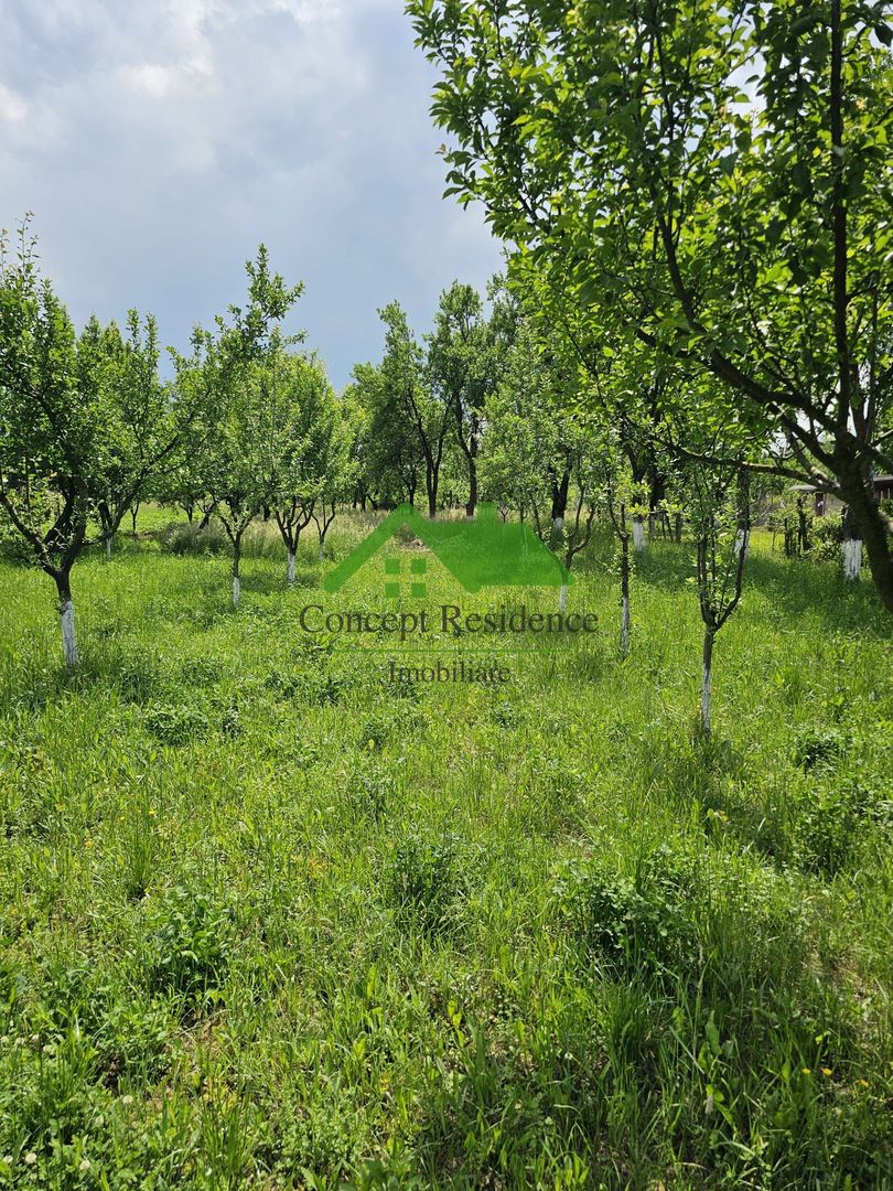 Casă 120 mp + teren 25 ari – Bușag, Tăuții Măgherăuș - Poză 13