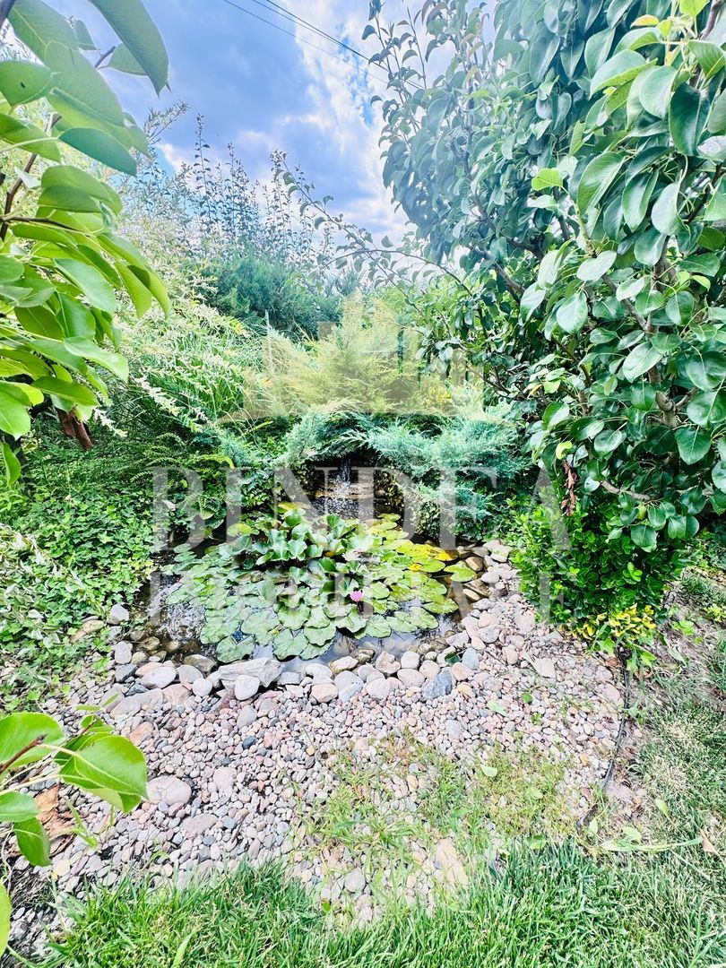 Proprietate individuala premium la intrare in Pischia - Poză 18