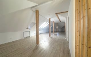 Inchiriere Vila Interbelica cu Curte - Birou - Dorobanti - Capitale - Poză 18