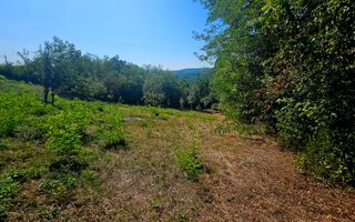 🌳 Teren intravilan 2322 mp, Păcuri – vedere superbă spre pădure! 🏡✨ - Poză 5