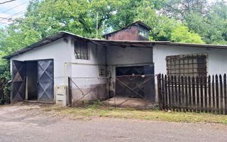Imobil cu destinatie comerciala, 4 camere, Boldesti-Scaieni - Poză 1