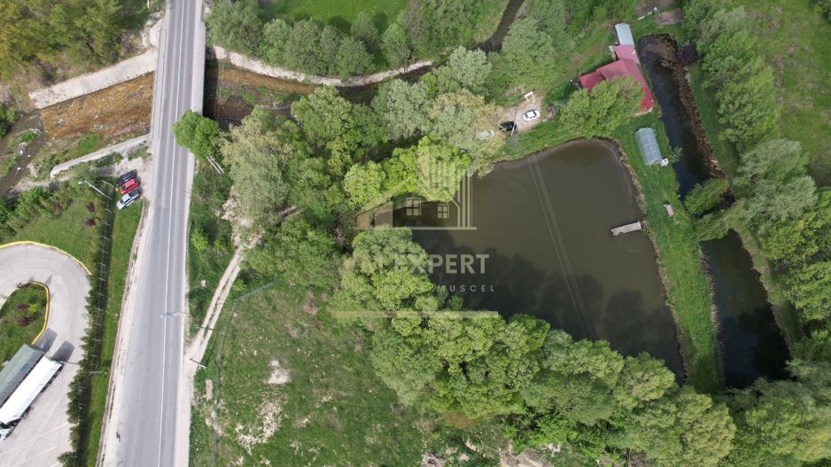 CASA 3 CAMERE, TEREN 6200 MP + 2 LACURI, CAMPULUNG, NAMAIESTI - Poză 35