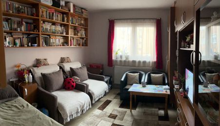 Apartament 1 camera