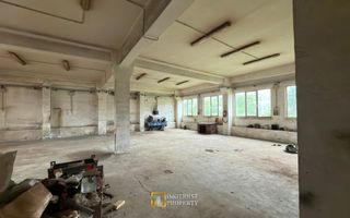 Hală industrială de vânzare – Sebiș, jud. Arad - Poză 8