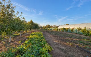 Casă pe parter, cu teren de 1.280 mp și foișor închis – Covăsânț, Arad - Poză 15
