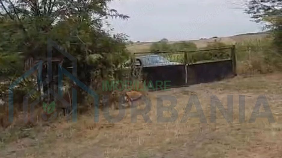 Livadă pe rod de 1570 mp, cu acces facil, în Muntenii de Jos, județul Vaslui - Poză 3