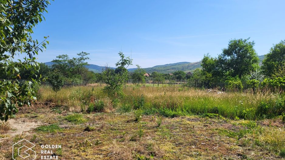 Casa cu teren de 1383 mp, localitatea Paulis - Poză 13