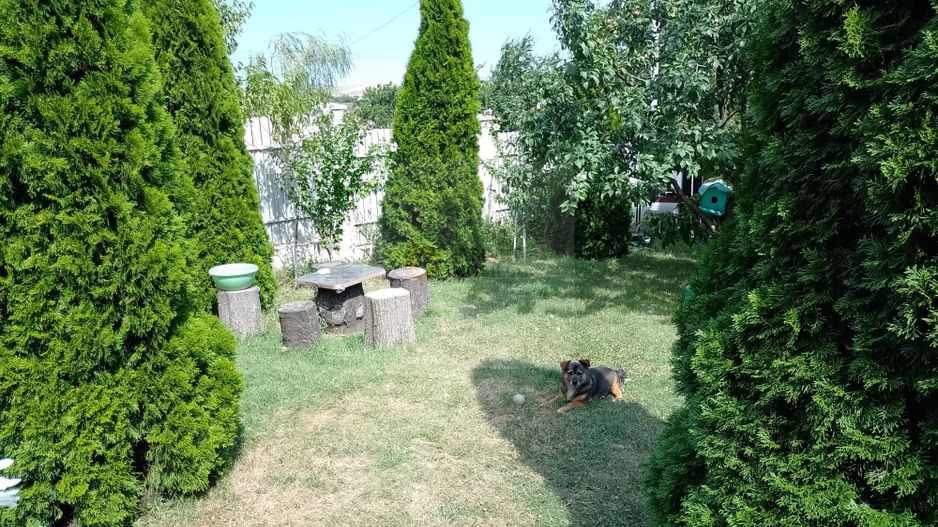 Casă de vacanță modernă cu teren generos –15min de Tecuci - Poză 4