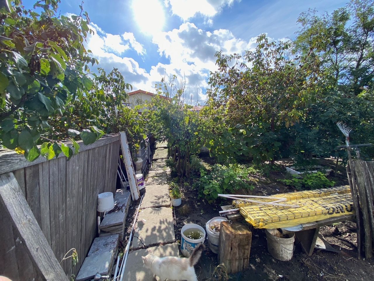 Casa in Dudestii teren 2712 mp - Poză 16