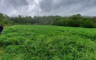🏡 Casă cu livadă sat Prisăcani  - Teren 4500 mp - Poză 6