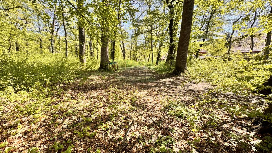 TEREN 7000 MP| DESCHIDERE 40 ML | INTRAVILAN-PADURE | POT 5% | TEREN UNIC | - Poză 7