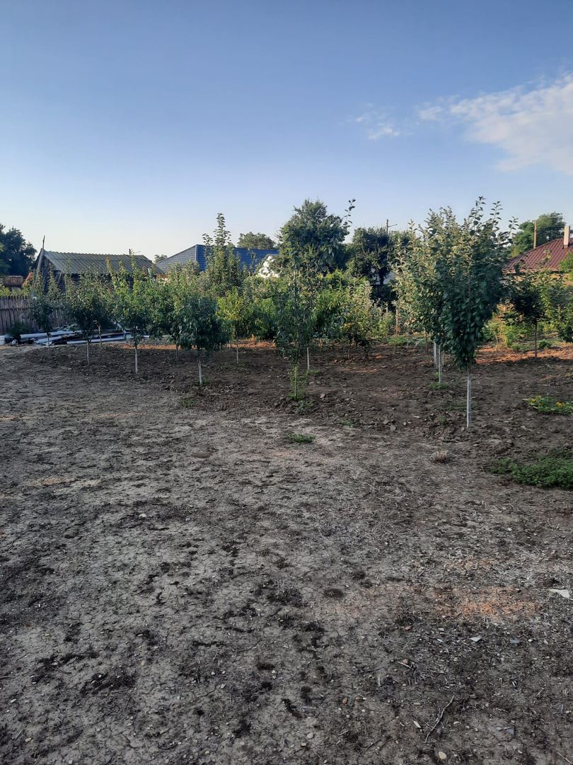 Casa Parter+Pod 90 mp+anexa 60 mp + atelier + teren intravilan 1600 mp - Poză 34