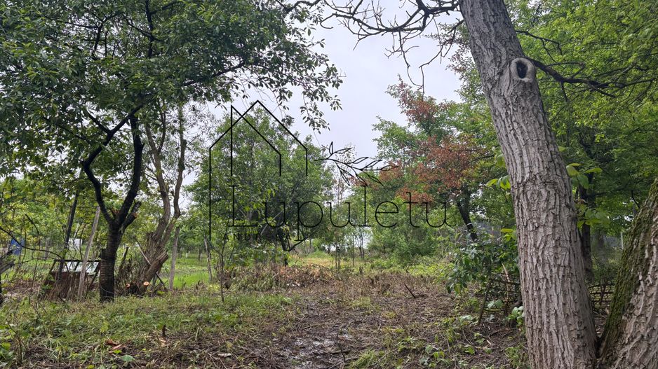 Casă de Vânzare în Bungard | 150 MPU | 2 Corpuri de Clădire - Poză 26