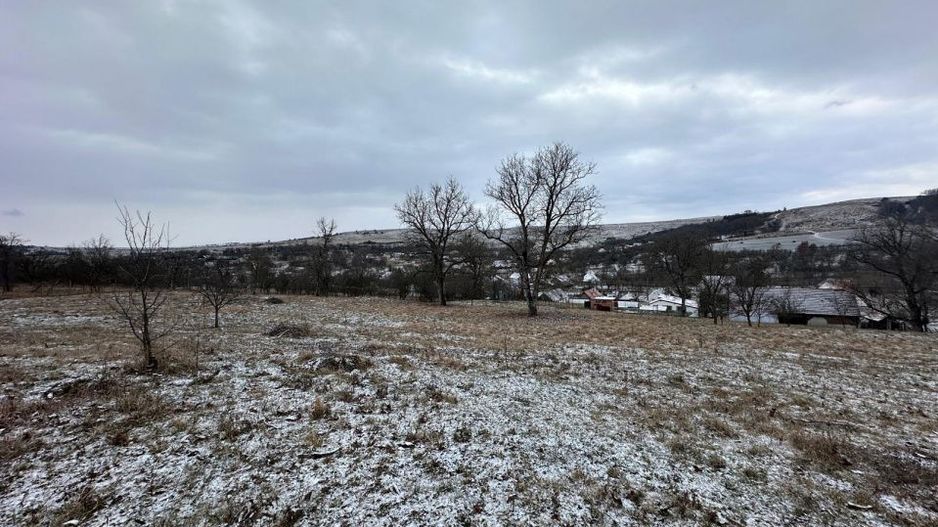 Casa individuala cu teren generos – 8.356 mp – Tichindeal, jud. Sibiu - Poză 8