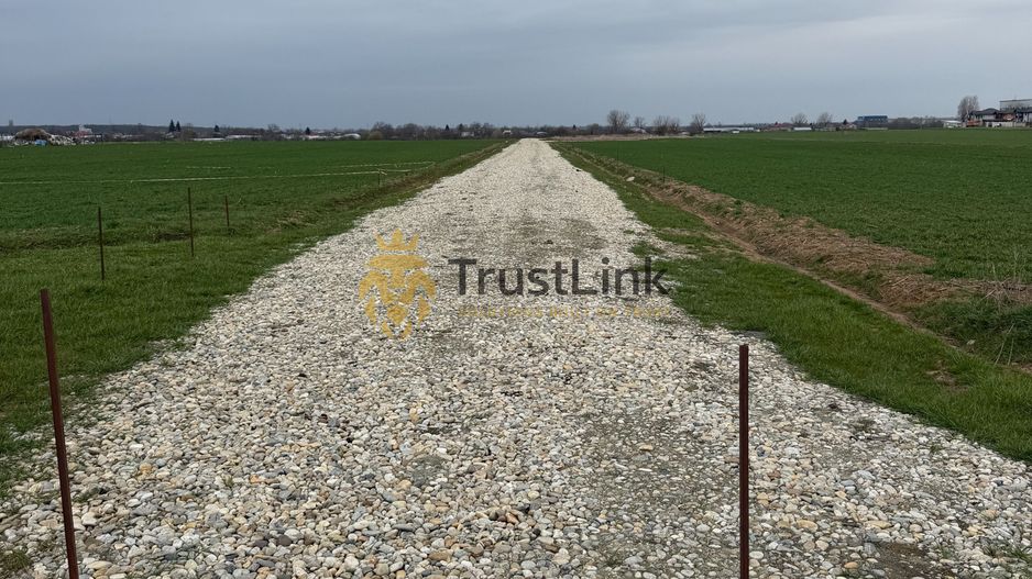 Teren intravilan de vânzare Berceni Vidra | 500–650 mp | curent la lot - Poză 2