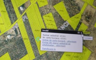 Teren intravilan 5.050 mp Tomesti Chicerea | P+2E | casa sau parcelare - Poză 4