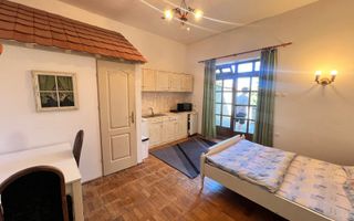 Garsoniera cu terasa proprie in vila interbelica | 20 mp + 16 mp terasa | Centru - Poză 3