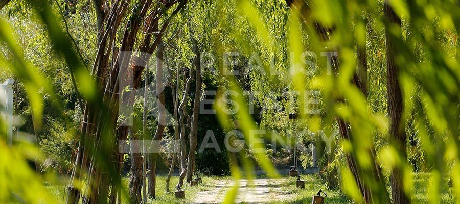 Vânzare, apartament cu 3 camere în zona Străulești - Poză 9