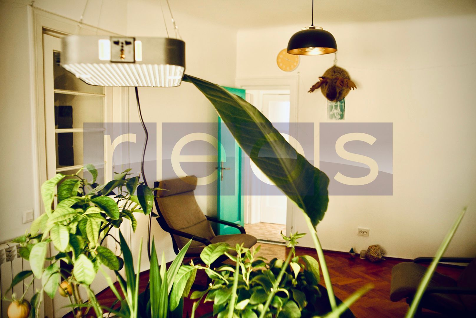 VANZARE APARTAMENT 3 CAMERE COTROCENI | REOVAT COMPLET | - Poză 3