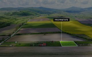 Teren intravilan | 687 MP | Aninoasa - Poză 5